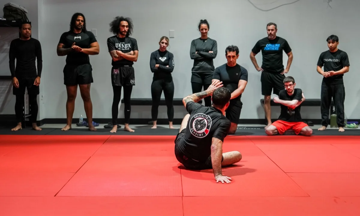 What Is Brazilian Jiu-Jitsu? [Beginner Guide]